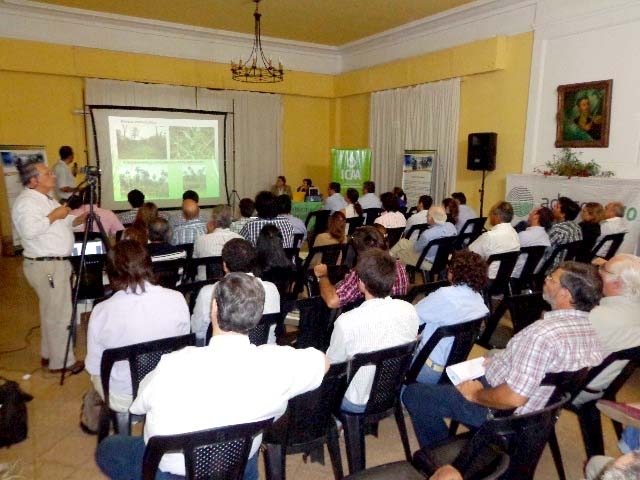 Audiencia_mercedes_arroyo_serrano-2