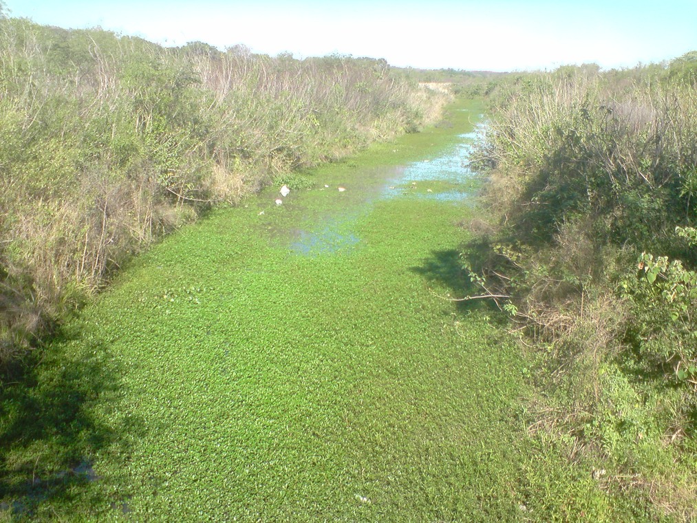 Arroyo_huajo4_pde_la_p